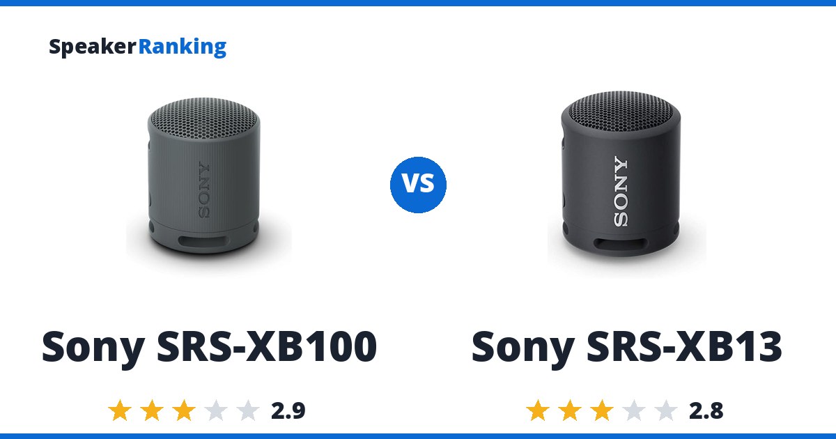 Sony SRS-XB100 vs Sony SRS-XB13