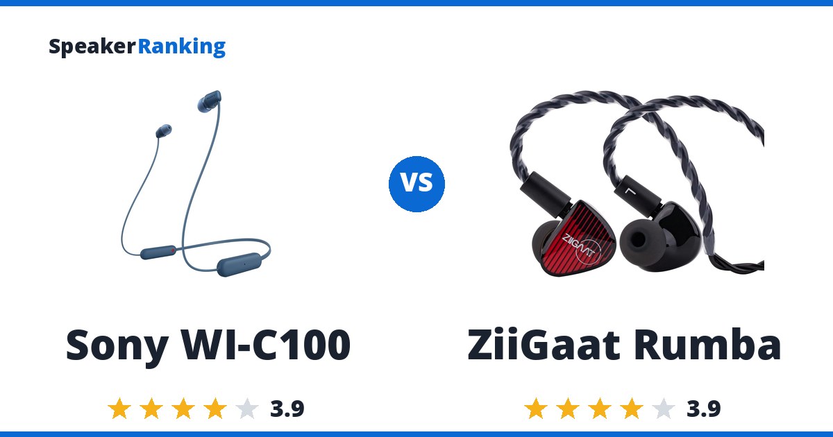 Sony WI-C100 vs ZiiGaat Rumba
